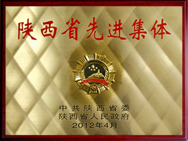 “陕西省先进集体”称号